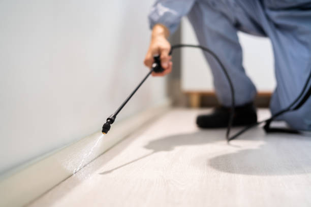 Rodent Entry Point Assessment in Victorville