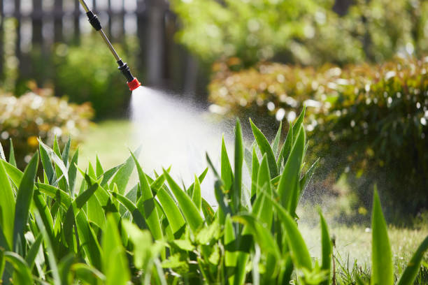 Tamper-Resistant Bait Stations for Rodents in Victorville