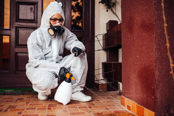 Attic and Crawl Space Rodent Treatment in Victorville