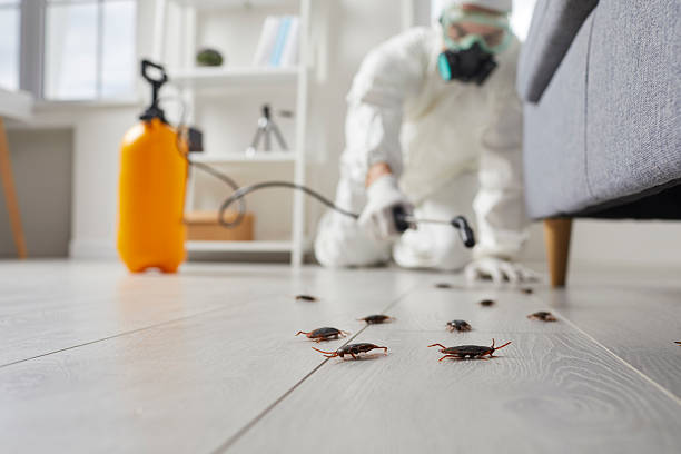 Commercial Rodent Management in Victorville